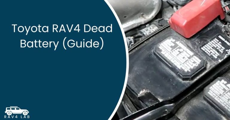 Toyota RAV4 Dead Battery (Guide)