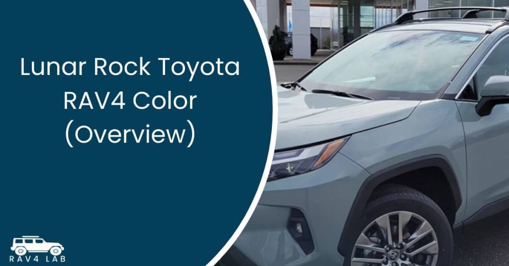 Lunar Rock Toyota RAV4 Color (Overview)